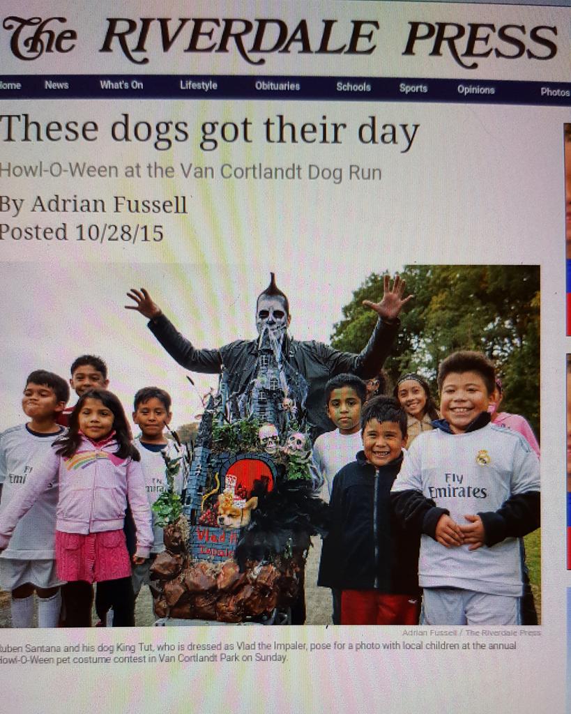 RubenPetStylist's tweet photo. #KingTut as #Vilad the @riverdalepress  
These dogs got their day - The Riverdale Press https://t.co/HlLuMezNdL https://t.co/05HYyA3PFC