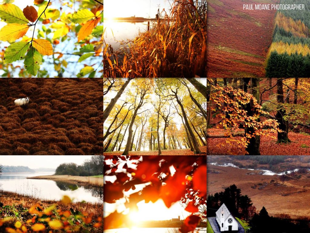 paulmoane's tweet photo. Autumn in #Ireland. Pic by @paulmoane @love_belfast @EnjoyTheMournes @TrekEarth @earthskyscience @irishexaminer https://t.co/JUMNUK6O2w