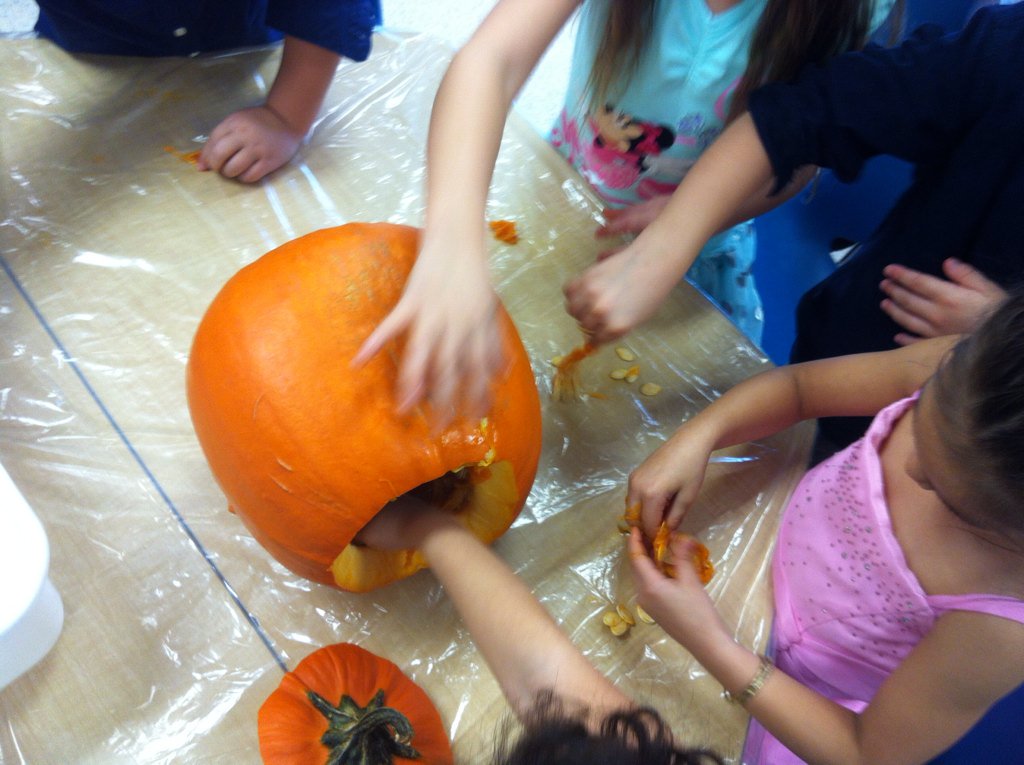 GAFDKRM104's tweet photo. How many seeds inside a pumpkin???  Let's find out..... https://t.co/rbFQwnQU4n