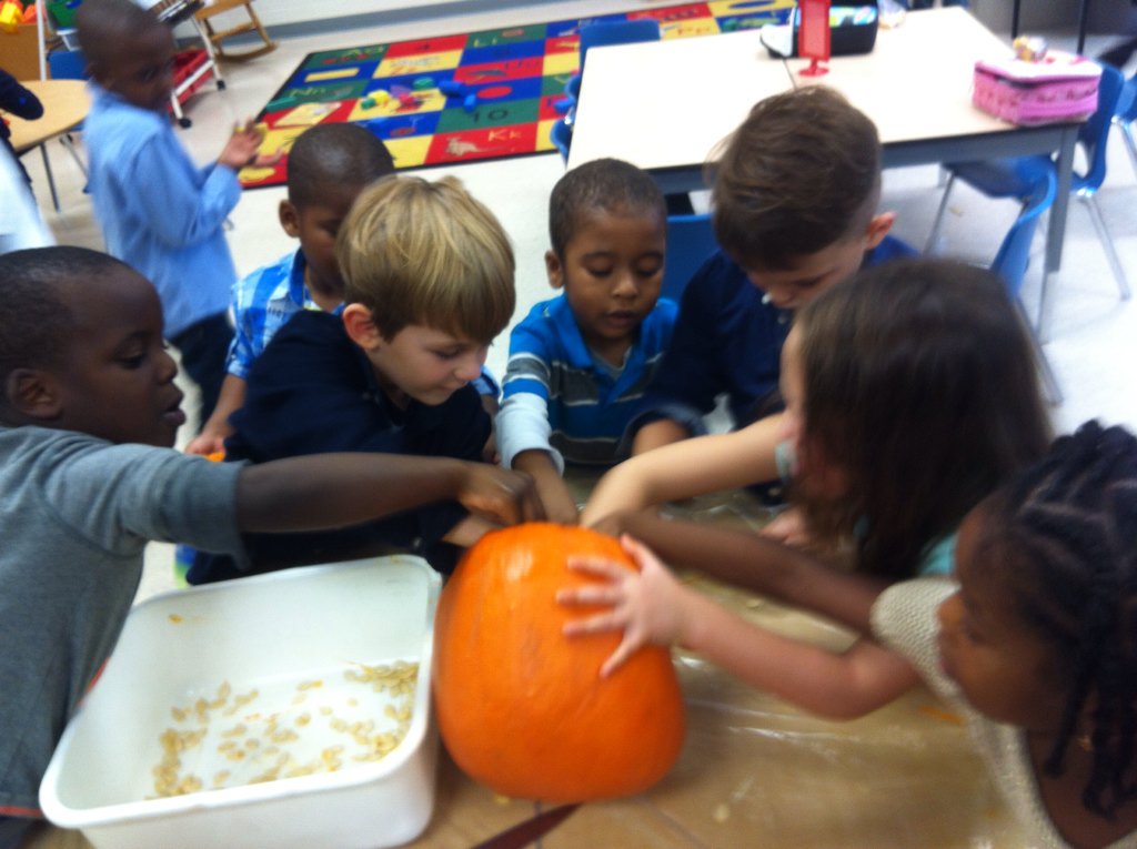 GAFDKRM104's tweet photo. How many seeds inside a pumpkin???  Let's find out..... https://t.co/rbFQwnQU4n