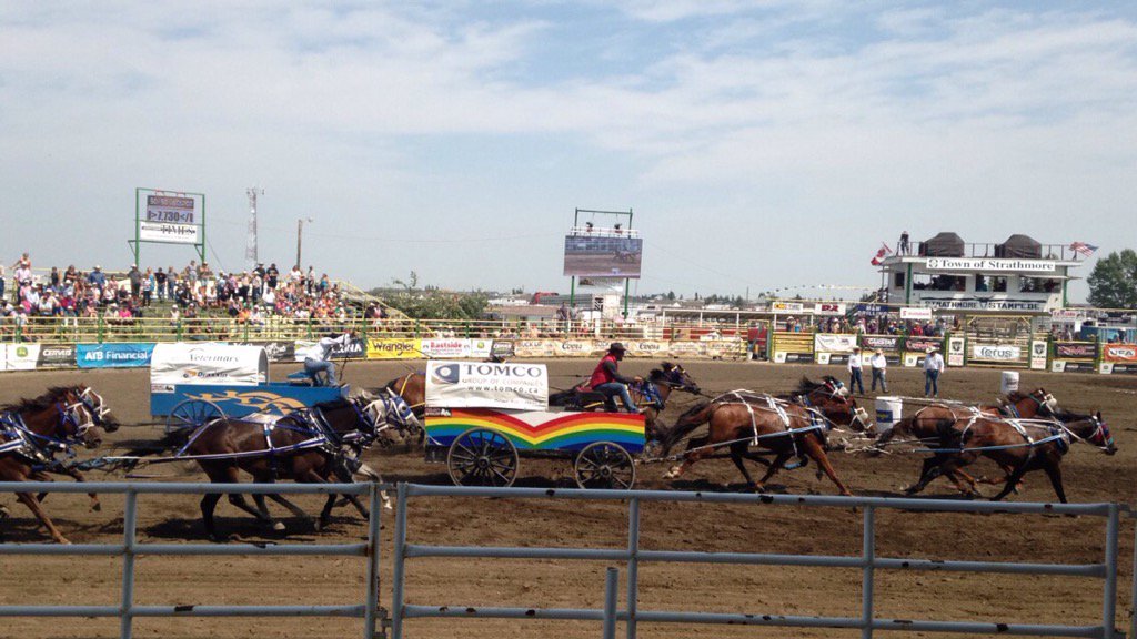 HoffmansHorse's tweet photo. @RaeCroteau @CJFeeds love it!! Was great watching your boys run in 2015. #BadAssRainbow #DoWork #FeedEmRight https://t.co/QNs0XYRzFW