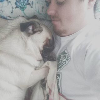 Joy_PhotoCam's tweet photo. Em paz. #instaDINHO #Amarante #Pug https://t.co/14sHb7puRP https://t.co/T77KF7Tq72