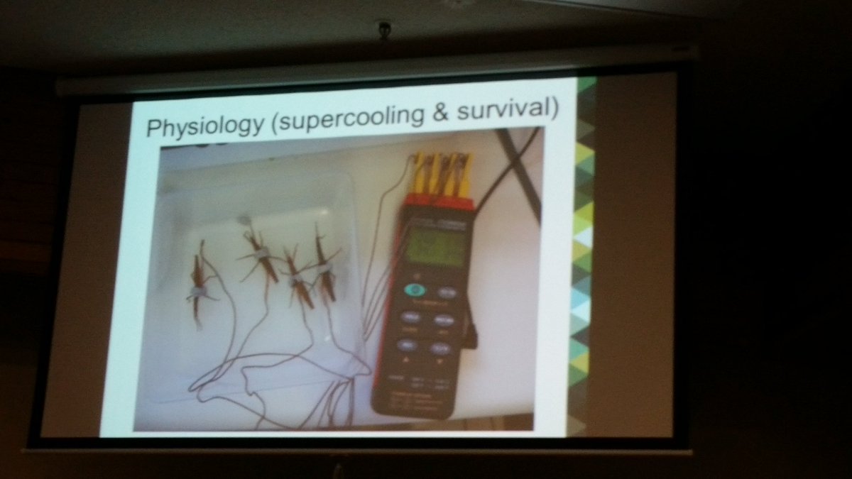 CeciliaDNZ's tweet photo. Thomas Buckley showing supercool way to do insect supercooling physiology at #MapNET @scion_research https://t.co/lNd0Jmgo2S