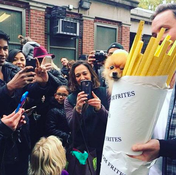 HapAppNYC's tweet photo. Today's top trending post in #NewYork goes out to @instagram in attendance of #Howloween! 👻 🎃 Found @itshapapp #NYC! https://t.co/RHrJln0zJf