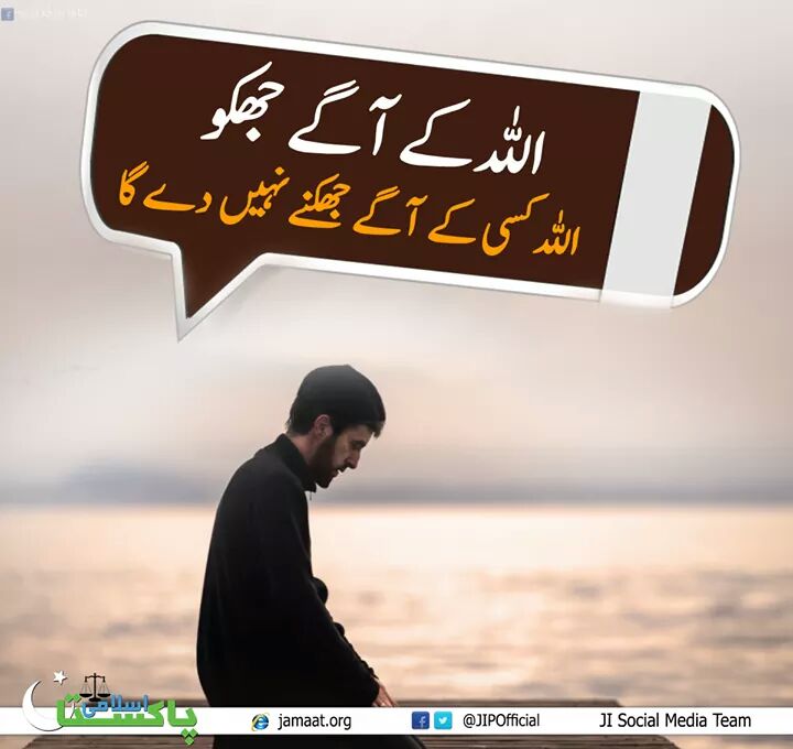 arslan245 tweet picture