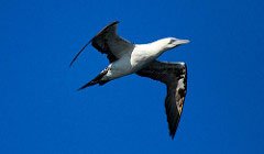 SOBOArts's tweet photo. See the photography of Ray &amp; Ann Kerwin at the Distillery, Nov. 7th-8th! https://t.co/ho9sjbTLw0