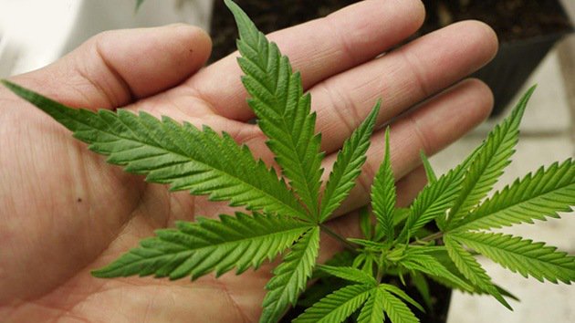 #México debate la legalización de la #marihuana bit.ly/1LCxiN9