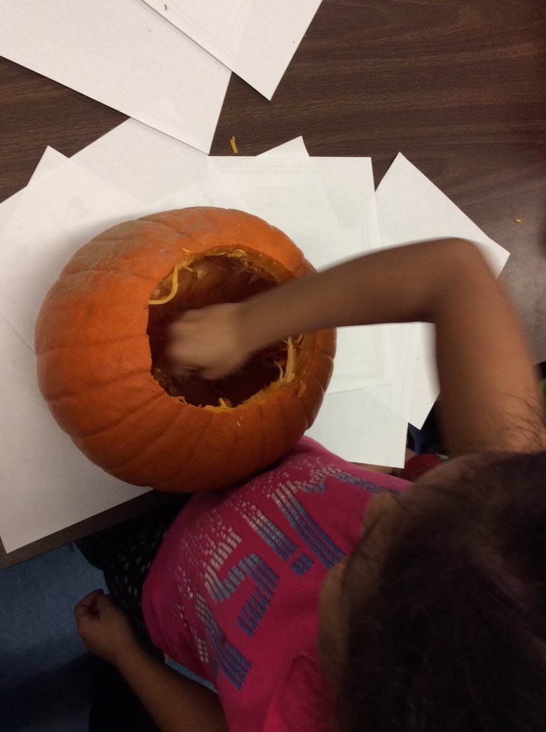 st_lipinski's tweet photo. Pumpkin investigators! @HudsonElem #room13 #firstgrade #ilovefirstgrade #pumpkins https://t.co/l3VrZRsJgH