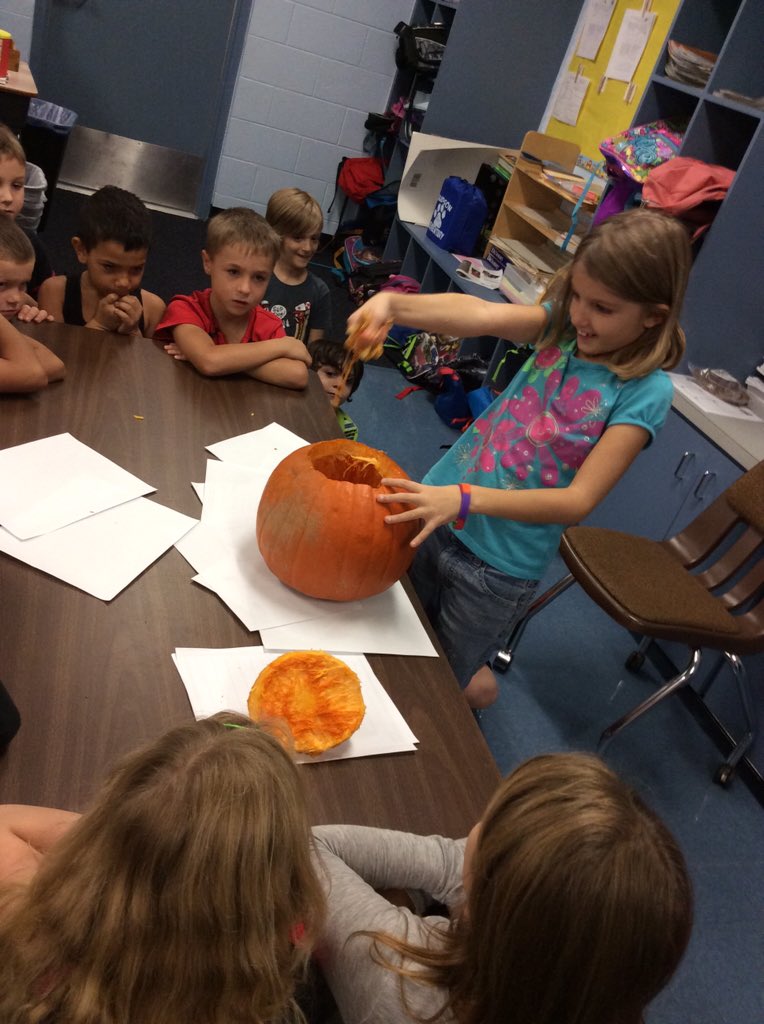 st_lipinski's tweet photo. Pumpkin investigators! @HudsonElem #room13 #firstgrade #ilovefirstgrade #pumpkins https://t.co/l3VrZRsJgH
