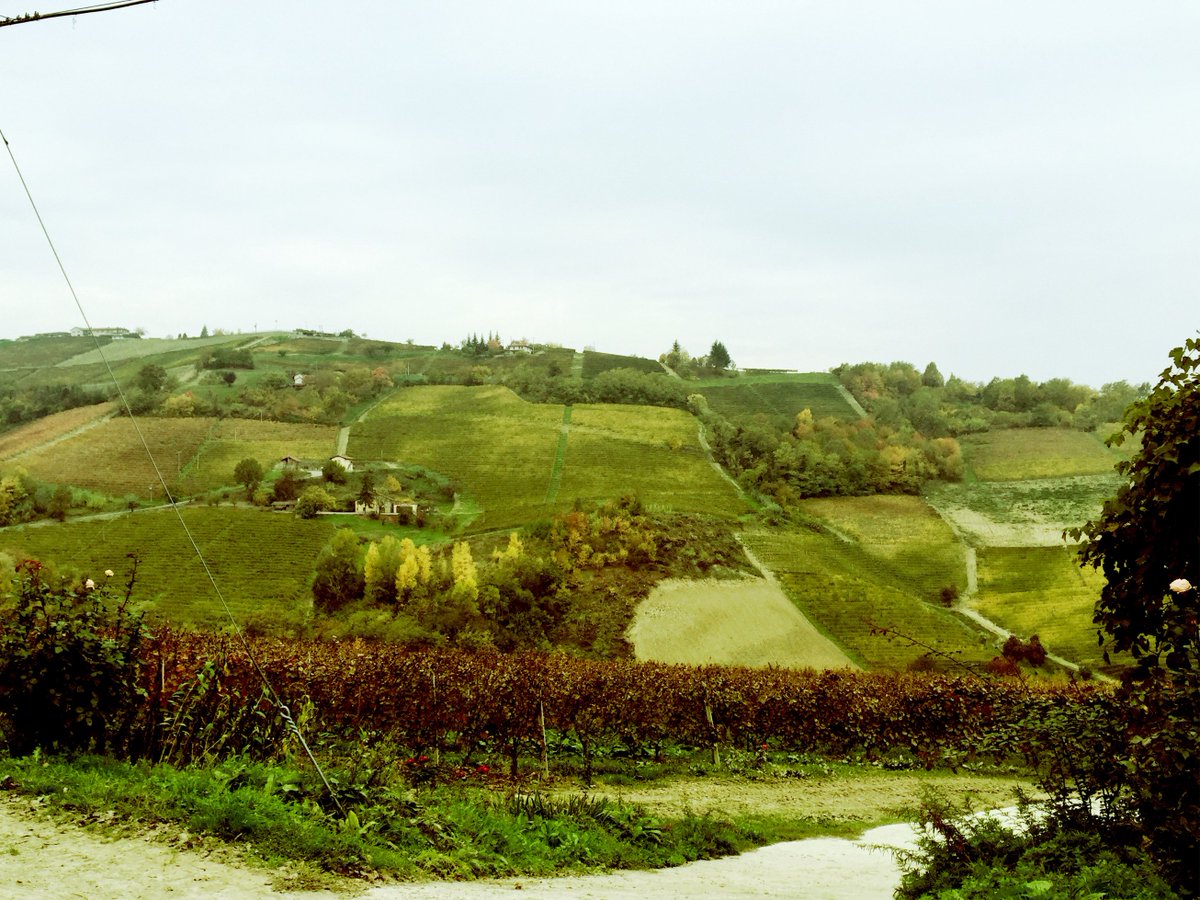 Cerys Rees tweet media