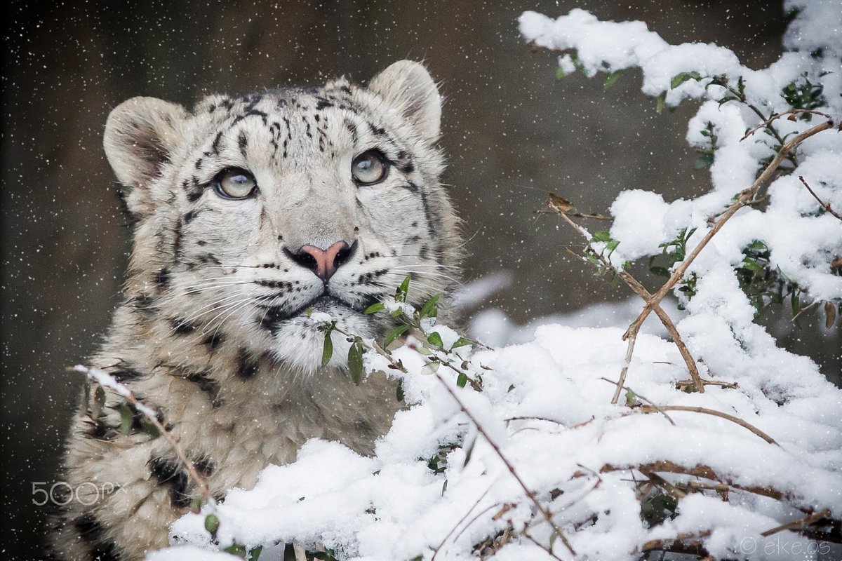 Earthpix tweet media