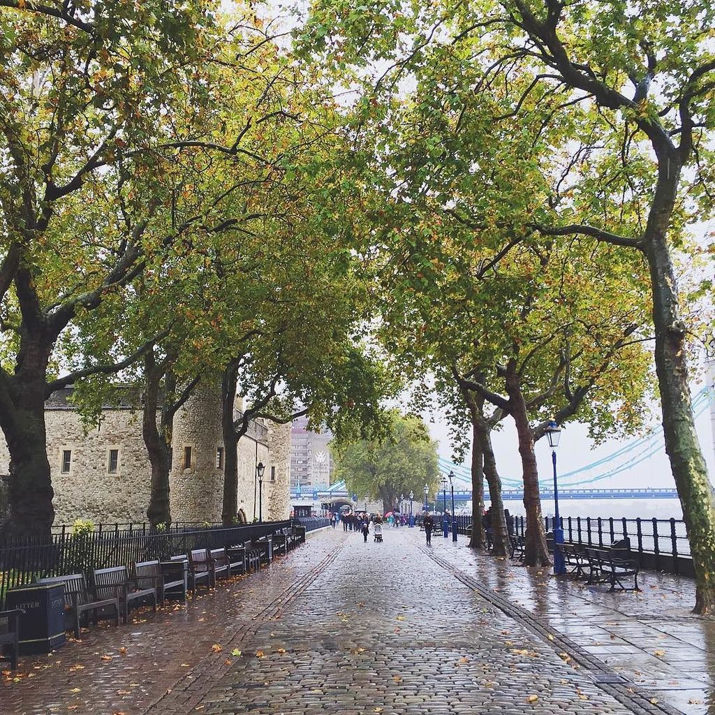 Chhimography's tweet photo. Rainy autumnal days #towerbridge #toweroflondon #london #autumn https://t.co/CJJ9bUWFXs