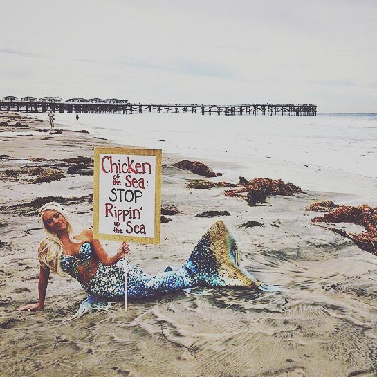 HannahMermaid's tweet image. chicken of the sea catches more than just tuna. sea turtles, seabirds, dolphins & sharks a… ift.tt/1MtQhwY
