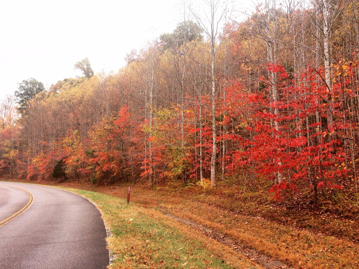We can't wait to welcome everyone tomorrow at the 2015 <a href="/JDRF_RIDE/">JDRF Ride</a> in Nashville, TN. #JDRFRIDE  #BNA