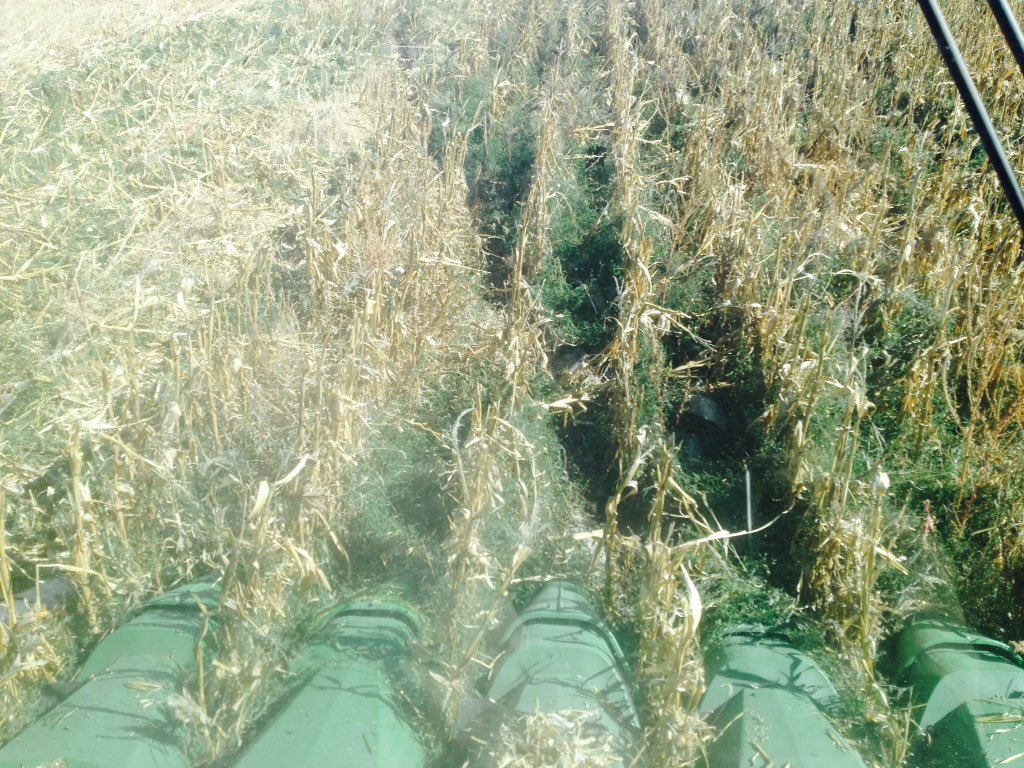 farmingcovered tweet picture