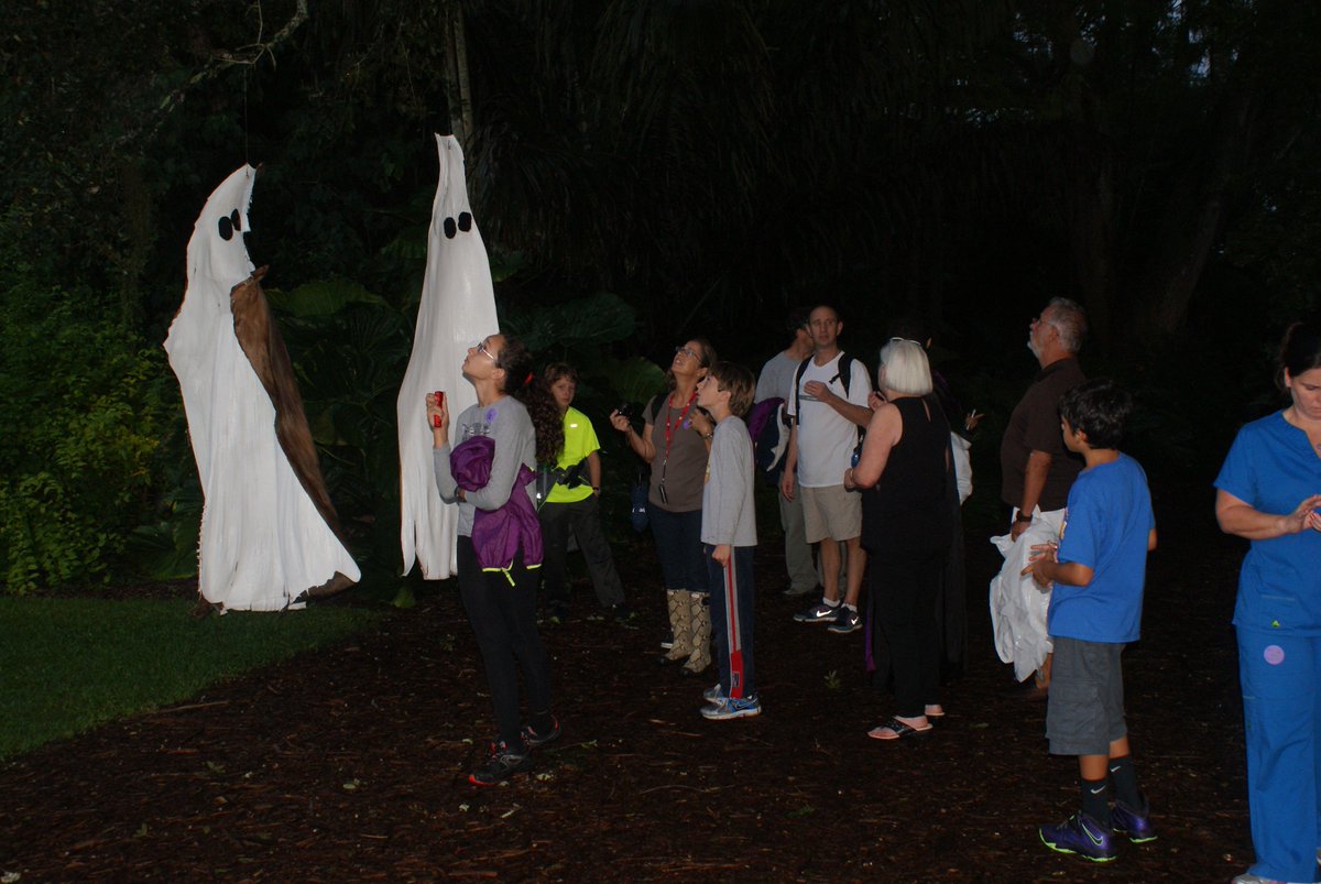 FairchildGarden's tweet image. #FriendlyCreatures of the Night - this Thursday Oct 29! Owls and bats and bugs, OH MY!  ow.ly/TUG3F