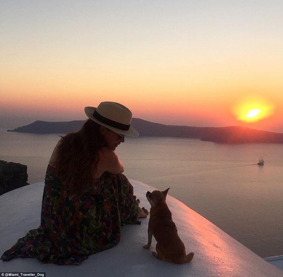 MailOnline Travel tweet media