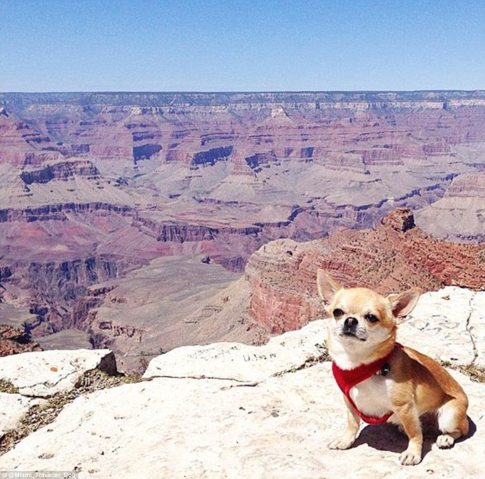 MailOnline Travel tweet media