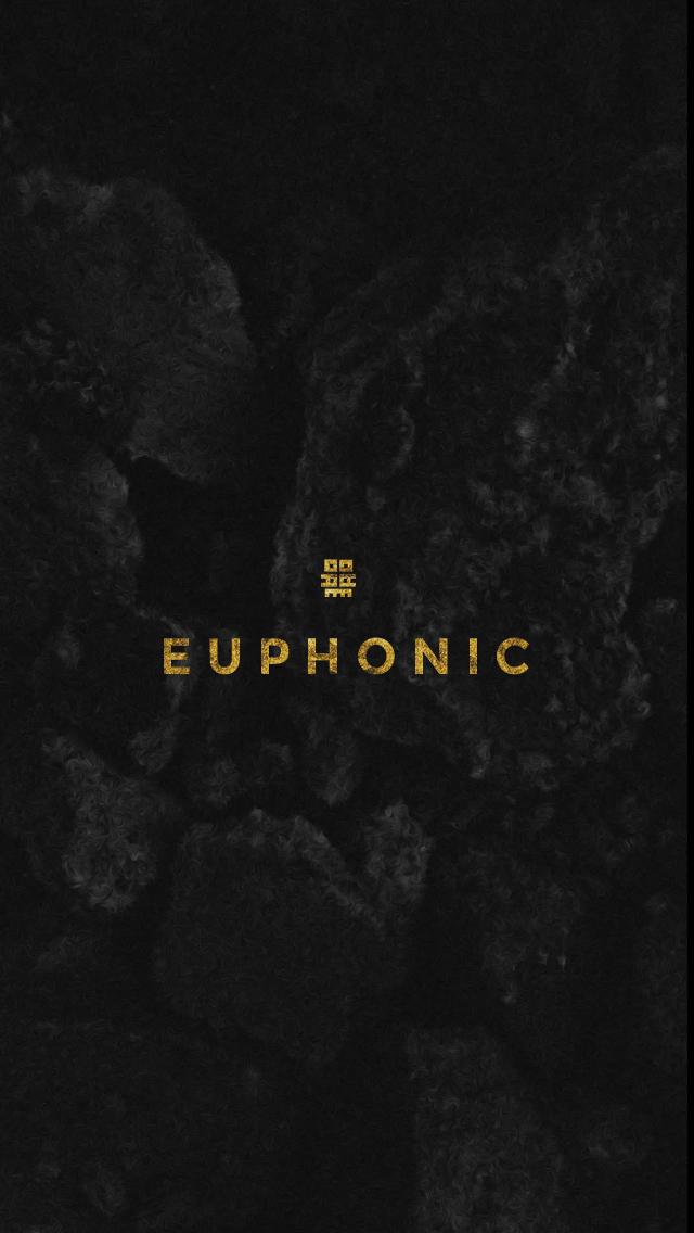WavegodTonero's tweet image. We are the beginning. @BaroqueAge #Euphonic