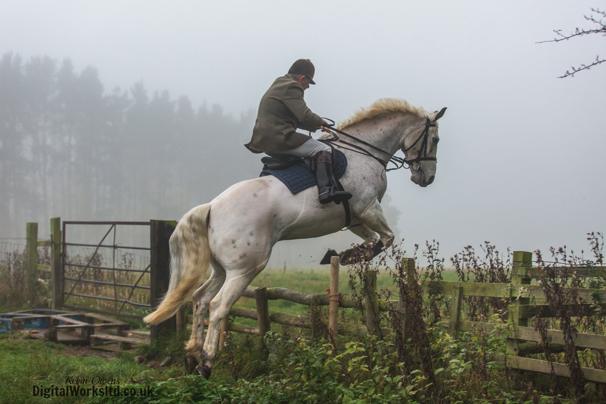Gsxr1000UKKO's tweet photo. Braes of Derwent Autumn Training @CAupdates @CAjilly @horseandhound @keephunting_ #rurallife #ryanmania https://t.co/Y0aMMNeYSx