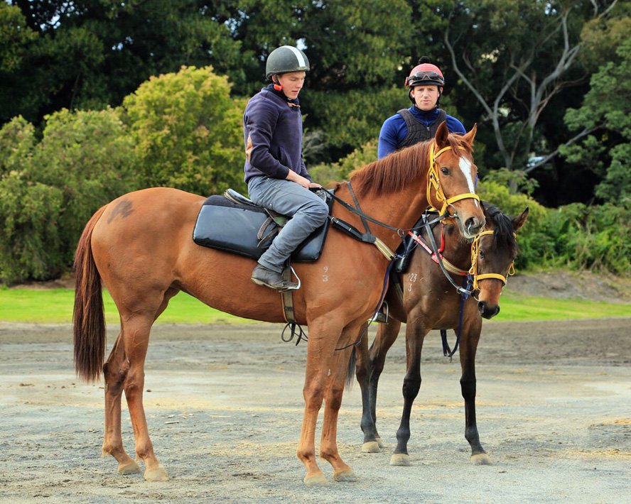 Dynamic_WONIT's tweet photo. 10% Remains in our #SEBRING Filly with @GaiWaterhouse1 From the Gr3 Winning and Gr1 Placed mare MARHETA #finalshares https://t.co/knYZVODEP0