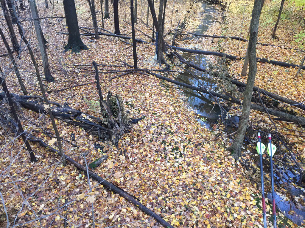 It was so nice sneaking into the stand on wet leaves. I was like a ninja!  Bad news is the deer will be too!