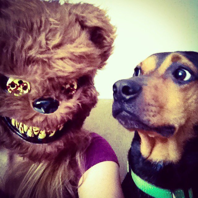 suzystar's tweet photo. Lmfao #terrified #letsgoforawalk #archer #ROAR https://t.co/rVBGHe9EYe