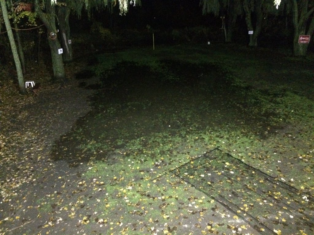 TheDavidNT's tweet photo. Floods at The David 10/28/15 https://t.co/dsENo0qW4E