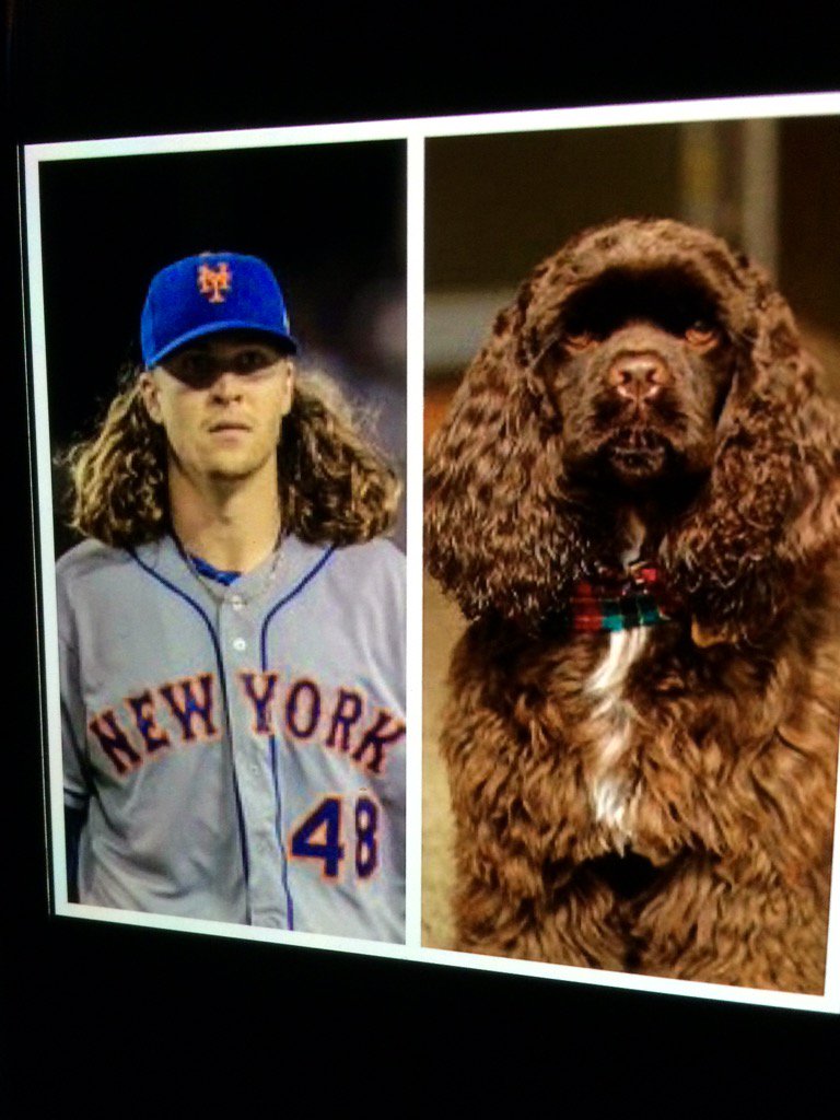 Dr_Zoom_'s tweet photo. #royals Who's who. https://t.co/GjTHDLMHsZ