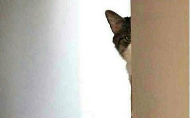 APrettyPENNIE's tweet image. @kmichelle