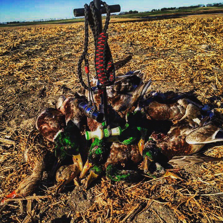 DucklanderCalls's tweet photo. Northern staff members are having some great success. #kansas #ducklander #borntohunt #builtcustom #waterfowl https://t.co/JMip0LS1er