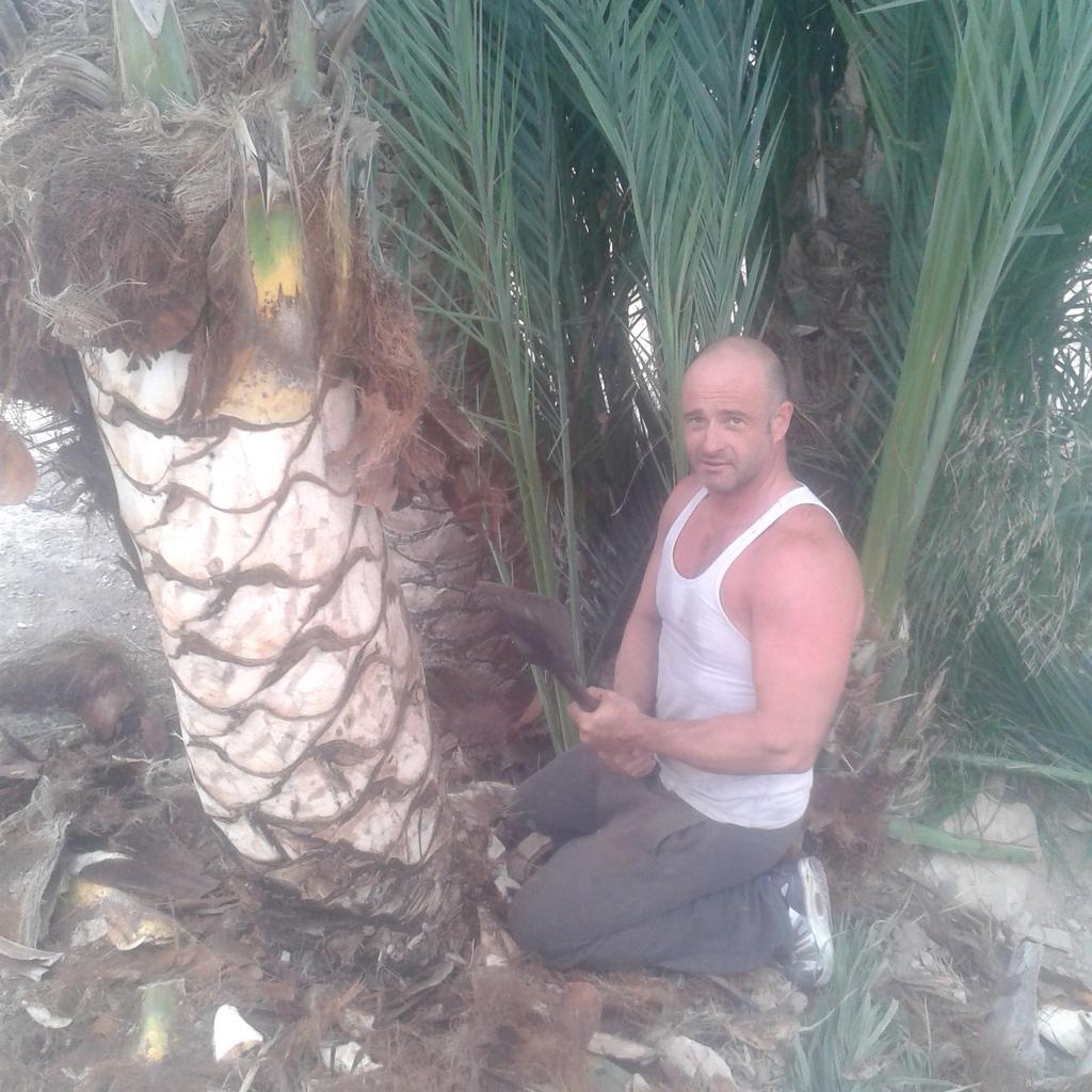 danielcarmonap1's tweet photo. Buenas noches ya han pasado dos años de esta foto limpiando a mi prima su palmera. https://t.co/eaBfgvhHmE