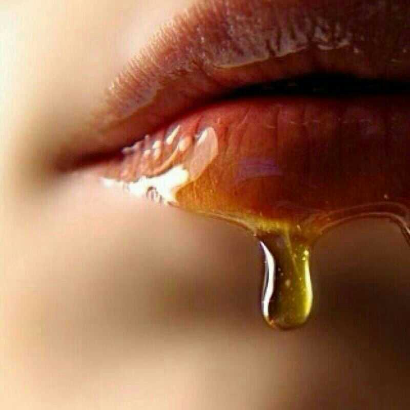 عاشق صنعانيه (@aaa24231) on Twitter photo 