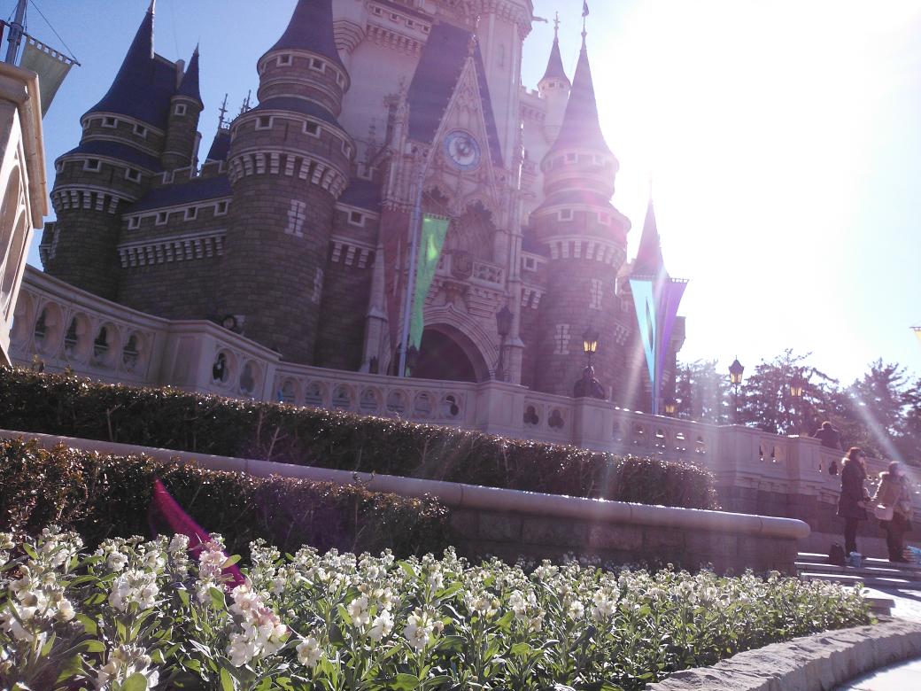 nnm___d's tweet photo. RTもフォローも大大大歓迎😘💞

#twitter上にいるDヲタ全員と繋がるのが密かな夢だったりするのでとりあえずこれを見たDヲタはRTもしくはフォローしていただけると全力でフォローしに行きます https://t.co/NeSEcJQ6a1