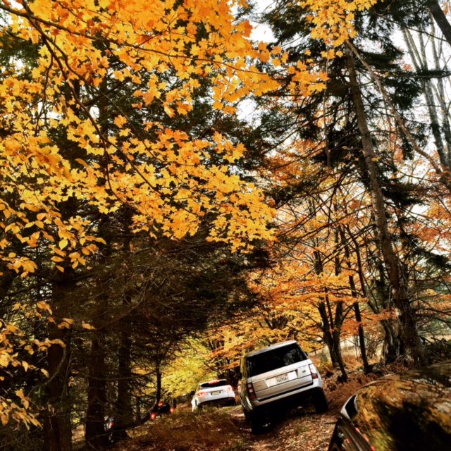 Ashley_Felts's tweet photo. Doesn't get any better than this! Off-roading and a Fall color tour with @LandRoverUSA #wellstoried (#client) https://t.co/gHkv8qDJVB