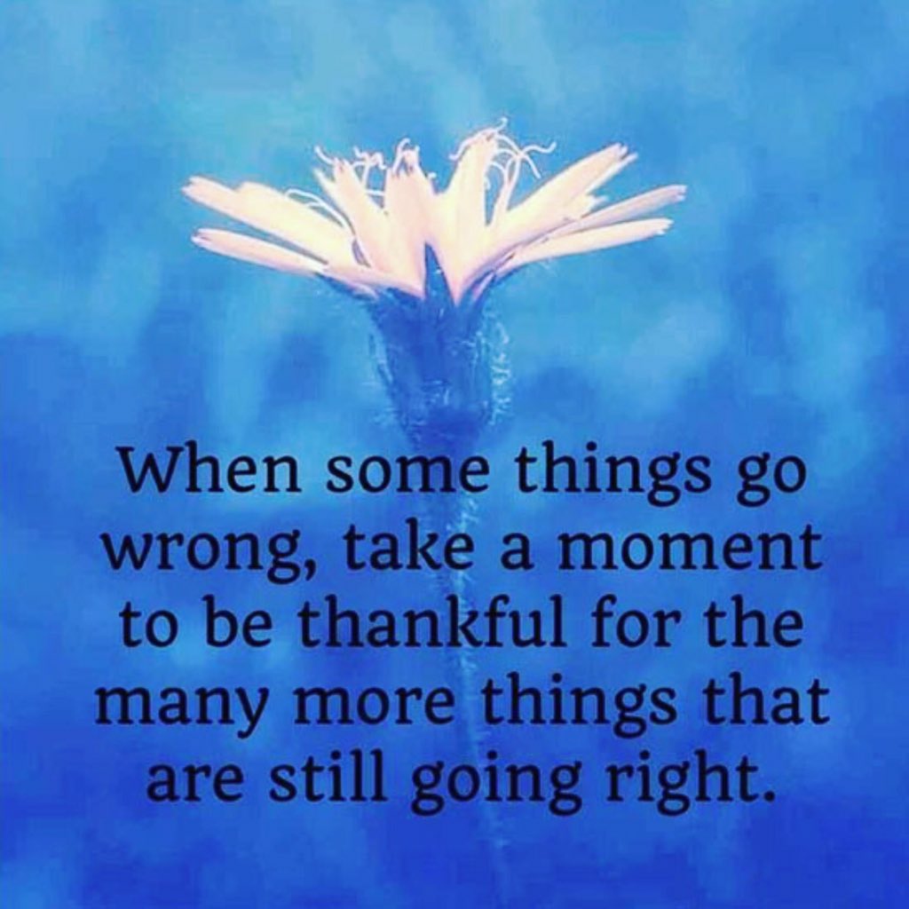 LDStuth's tweet photo. #Strong #Forget #taught #Thankfullife  #preciouslife #preciousone #Lifeistestingus #Lifeistestingme #Lifeisthetest https://t.co/OhEpeRaaVl