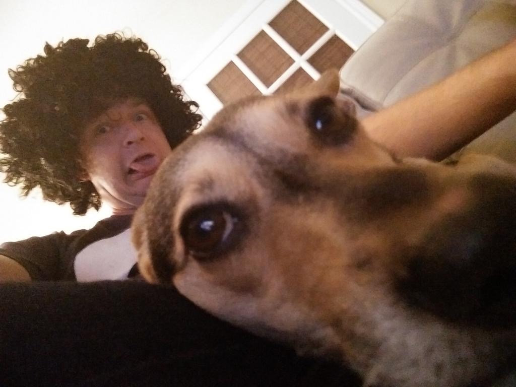 pixelhere's tweet image. Trying to ignore silly humans