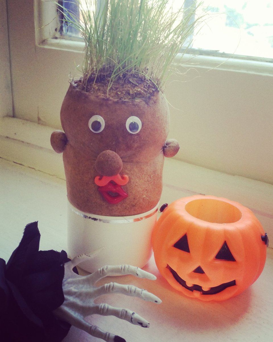 NaysGrassheads's tweet photo. Getting ready for Halloween! #sawaghost #spooky #halloween #pumpkin #creepy #naysgrassheads https://t.co/Rkw8BdPG2Y