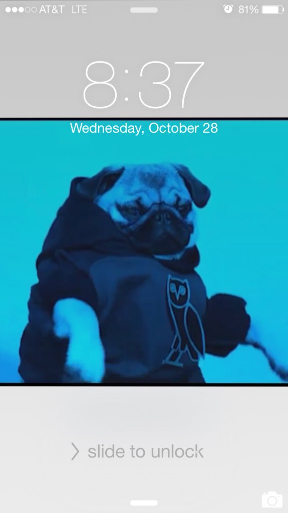 sodiamar's tweet photo. New home screen #HotlineBling #PugLife @Drake https://t.co/K3pgm2wZzq