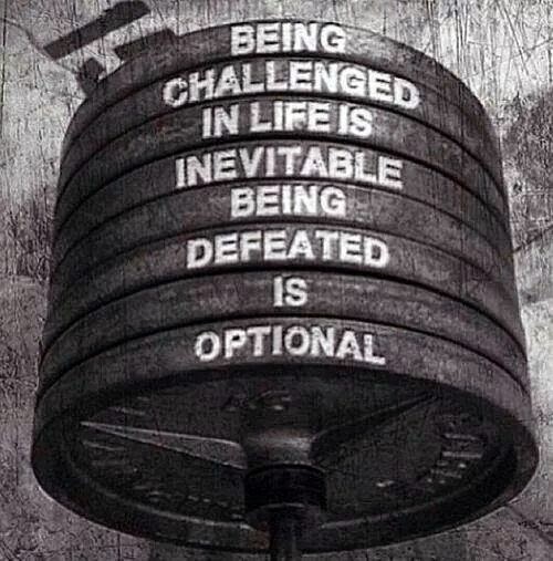 XPIsupplements's tweet image. Push past your limits &amp;amp; fuel yourself with our pre-training amplifier: goo.gl/uJxYTo