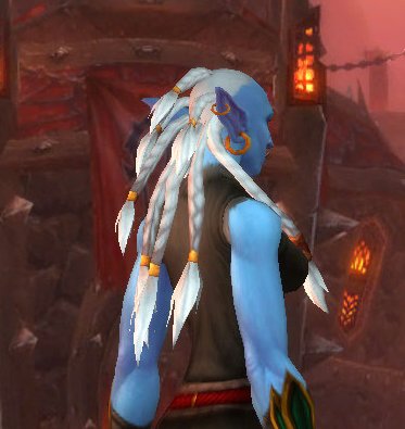 Heals4Peels's tweet photo. @Blizzard Someone please ESPLAIN! You took the time to update models &amp; their hair.but you thought this was ok? #Wow https://t.co/EHAU4C7Ocm