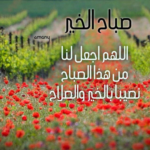 سعادة (@suaad731) on Twitter photo 