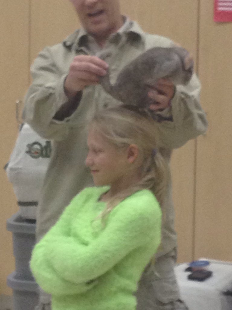 mdavis2highland's tweet photo. Hedgehogs, chinchillas, tortoises..oh my! https://t.co/majBLbIB5I