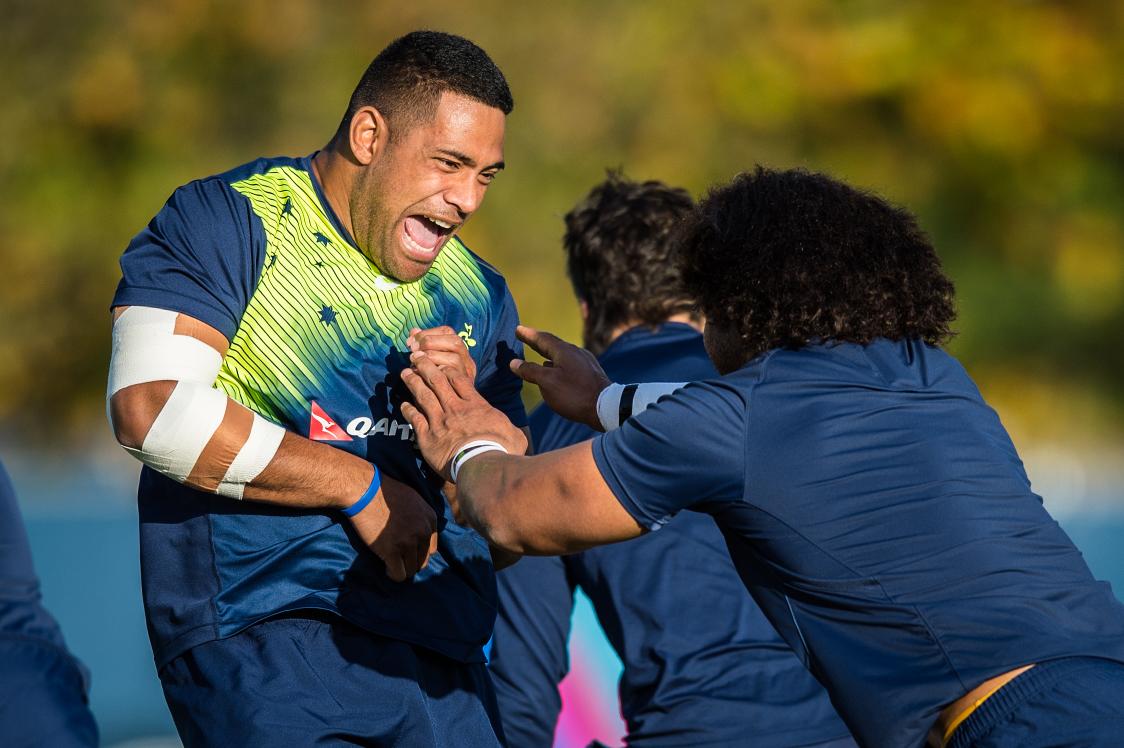 wallabies's tweet photo. The excitement is building! Check out all the latest training pics on our Facebook page. #RWCFinal #StrongerAsOne https://t.co/NmeYhaoYBz