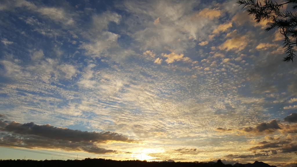 lauracrumbs's tweet photo. #lauracrumbs #AZSunsets_RR #sunset #desertsky #desertsunset #sundown #desertviewsAZ https://t.co/0bdxrMZQrK