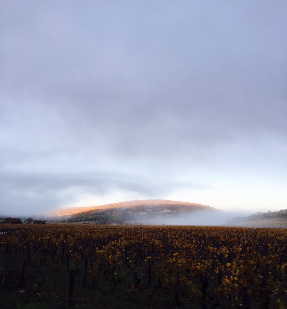 AnthonyBerger's tweet photo. Marsannay la côte au réveil ! #Marsannay la côte #lebienpublic https://t.co/lDIOwulqVL