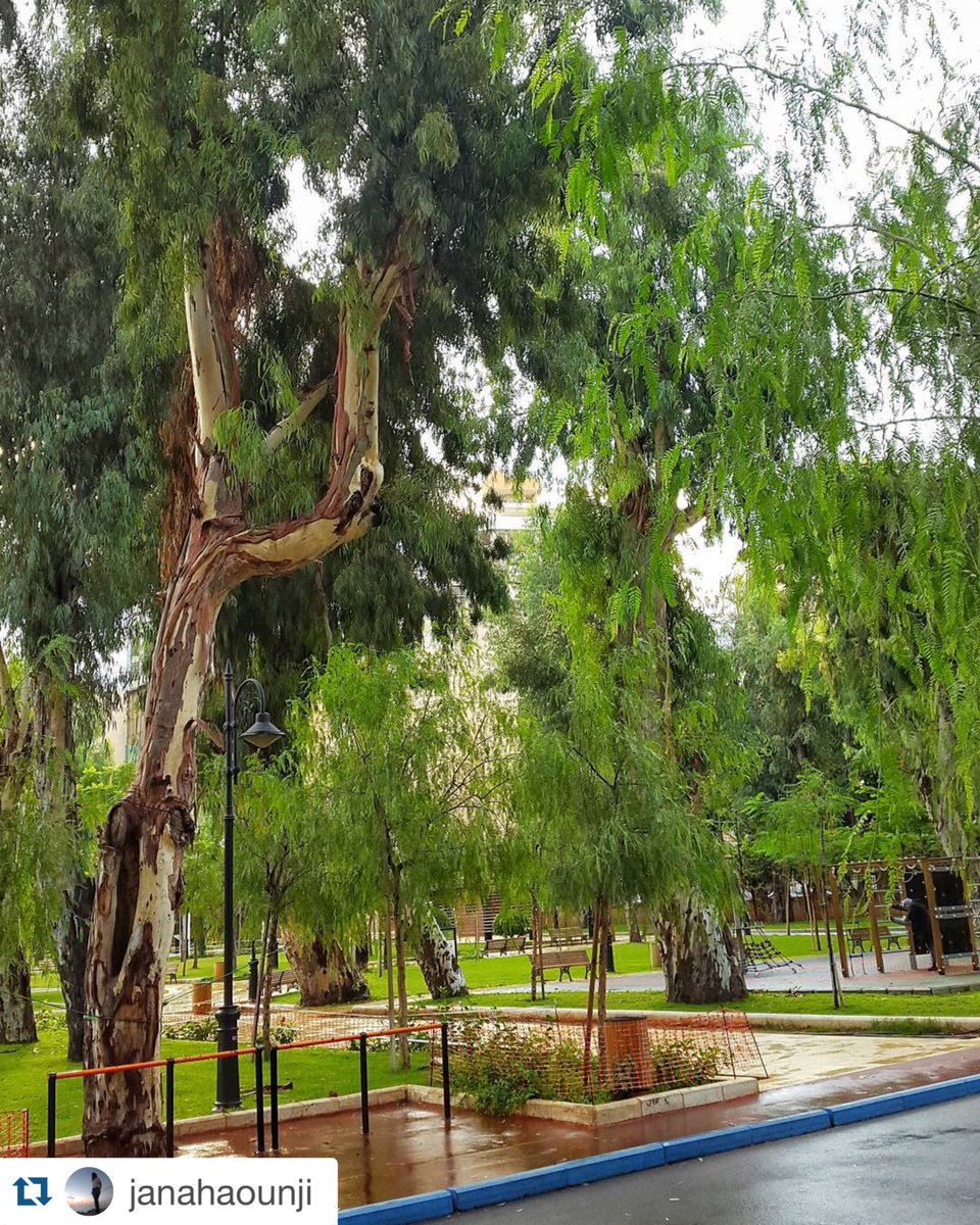 AzadeaFDN's tweet photo. Rainy October in #SanayehGarden! #AzadeaFoundation https://t.co/ZFOOSm6nu0