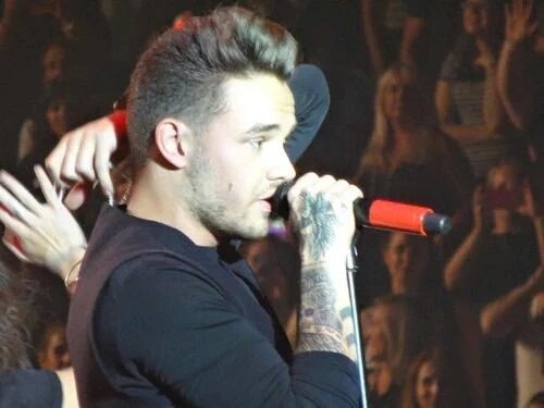 liam payne photos (@photosofpayne) on Twitter photo 