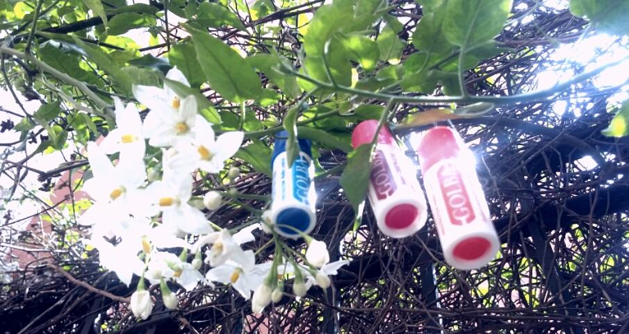 noraraq's tweet photo. #LaMujerPerfecta usa #golbaclasico y #cuidatuslabios #YOUCLIP GOLBA @YouClipMx @LabsAzteca https://t.co/GrVsNAUaJZ