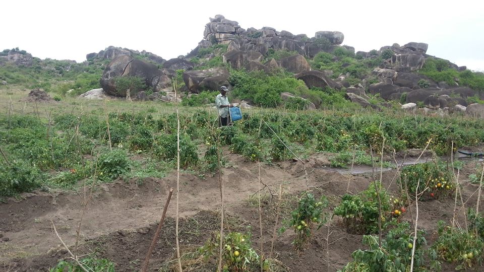 Mwanza2035's tweet photo. Tunazungumzia maeneo yanayoleta vikwazo katika mpango kabambe wa #Mwanza. Tembelea facebook #Mwanza2035 kwa maelezo https://t.co/GzyG08w0ve